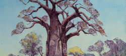 Baobab in Kruger Park 2 | 2019 | Oil on Canvas | 44 x 62 cm